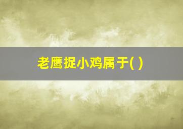 老鹰捉小鸡属于( )